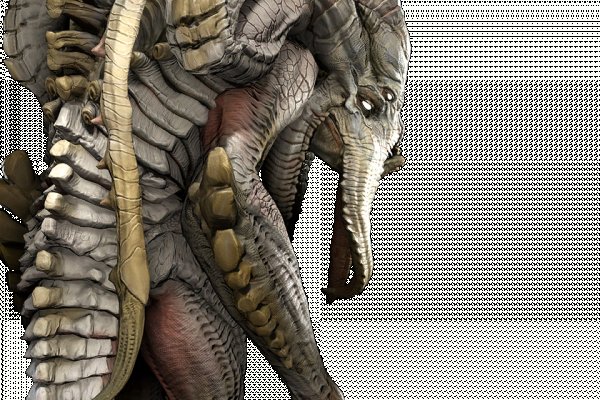 Kraken com darknet