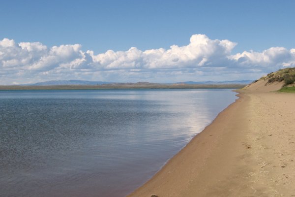 Кракен дарк шоп