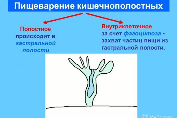 Kra39.cc Вход на сайт главная страница