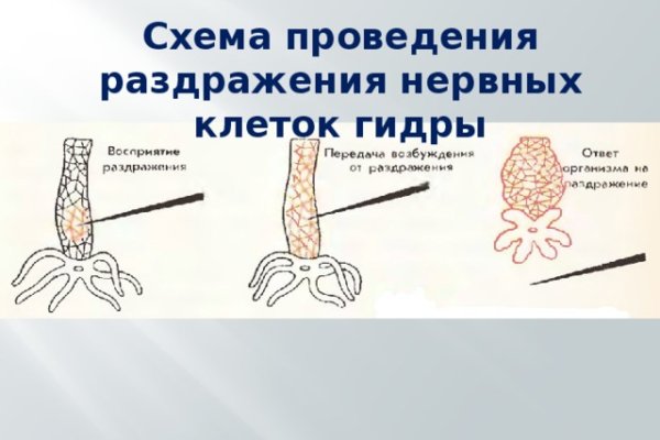 Kraken russia
