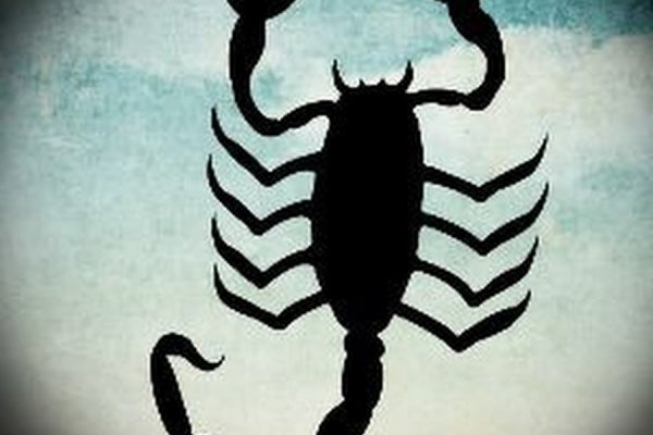 Kraken смылка