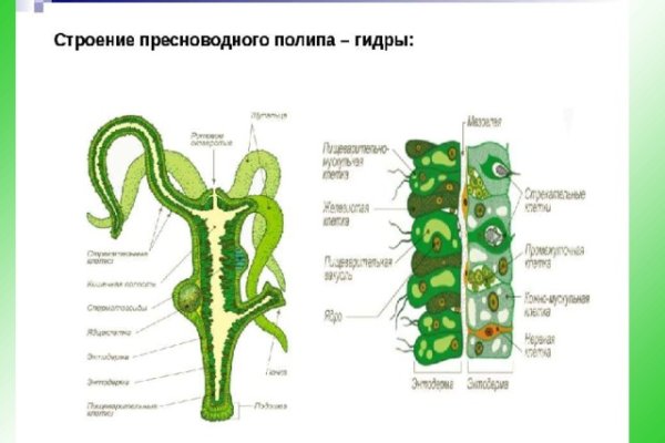 Кракен маркетплейс