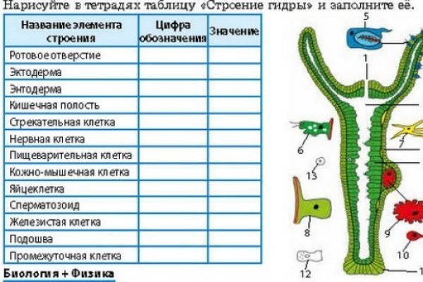 Ссылка на кракен свежая
