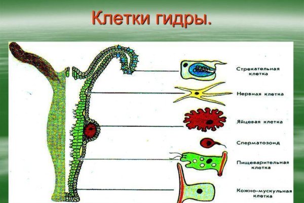 Как заказать на кракене
