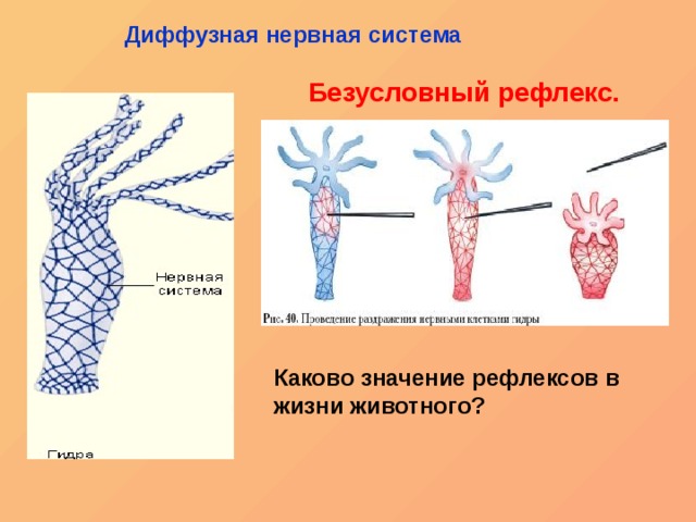 Кракен шоп зеркало